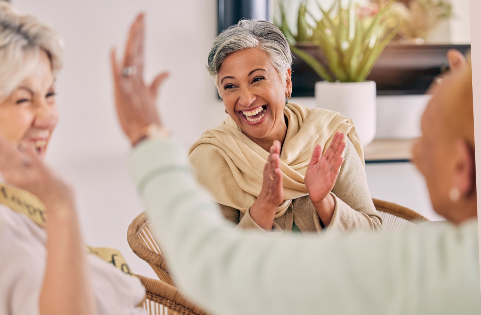 A group of senior friends laugh, clap, and high-five with each other.